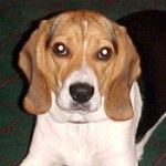 Profile picture of kayte