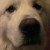Profile picture of Rhonda