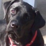 Profile picture of Mercy / crem1951