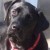 Profile picture of Mercy / crem1951