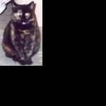 Profile picture of Iris (ginger15)