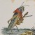 Profile picture of Grasshopper (test account)