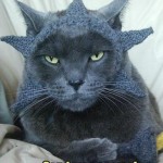 Profile picture of Aquiltmaven (KAREN)